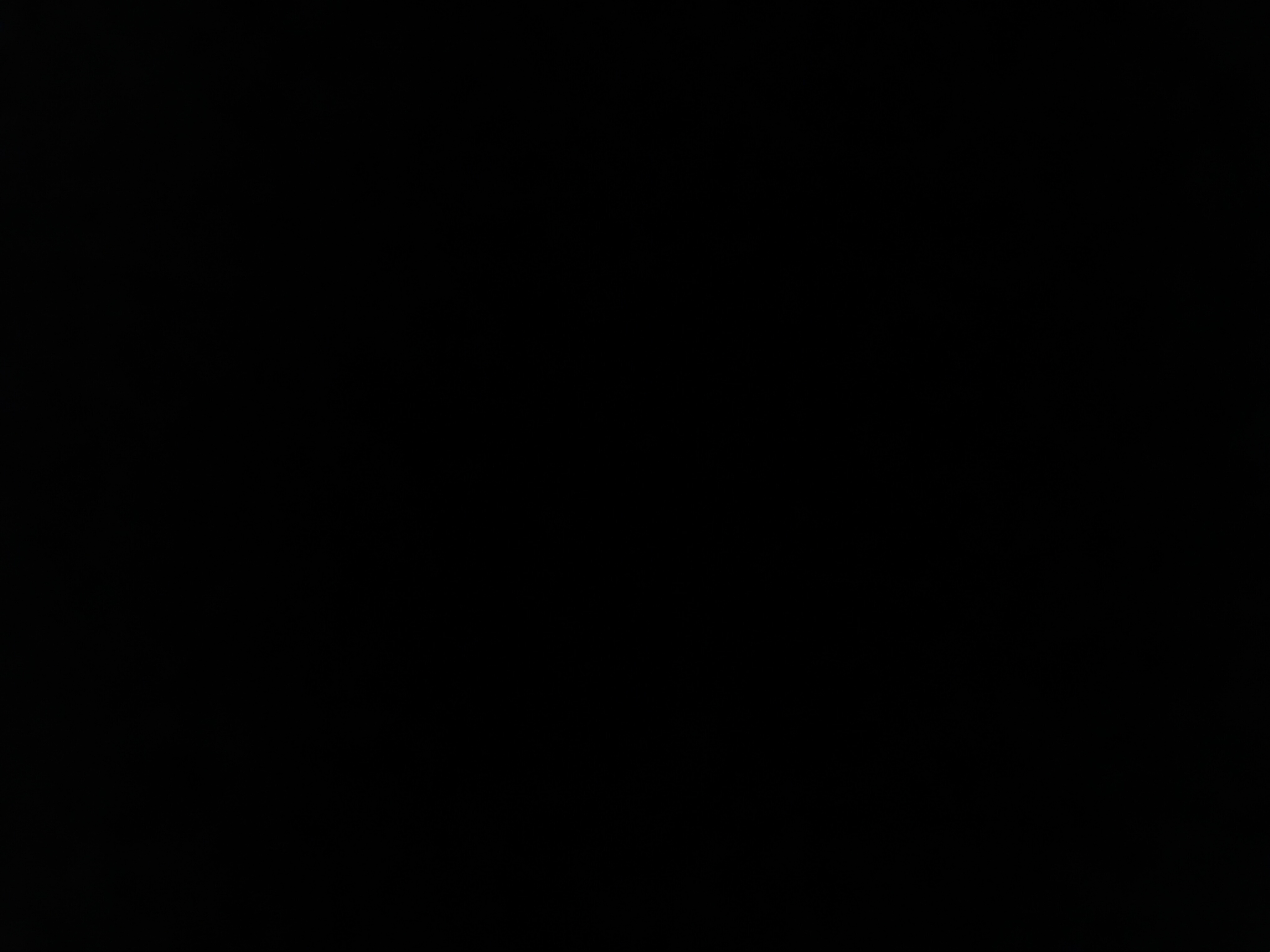 Rukshana Jannat